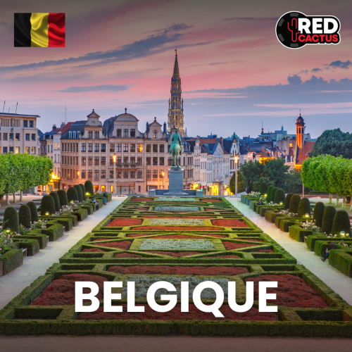 Finale Régionale BELGIQUE - Hiver 2025